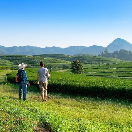 Pa Sak Tong Hotell Chiang Rai Eksteriør bilde
